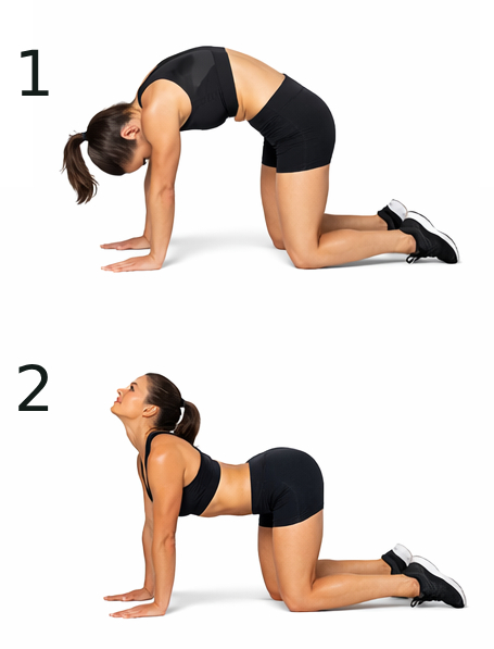 Katze Kuh Mobilisation wird von einer Frau ausgeführt, um Rückenschmerzen nach dem Aufstehen entgegenzuwirken